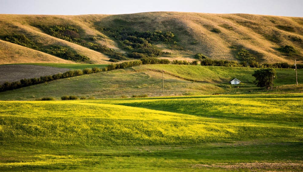 Top Dietitians in Saskatchewan