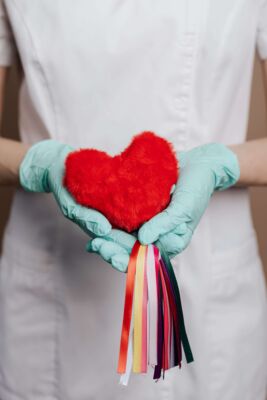person holding stuffed toy kidney