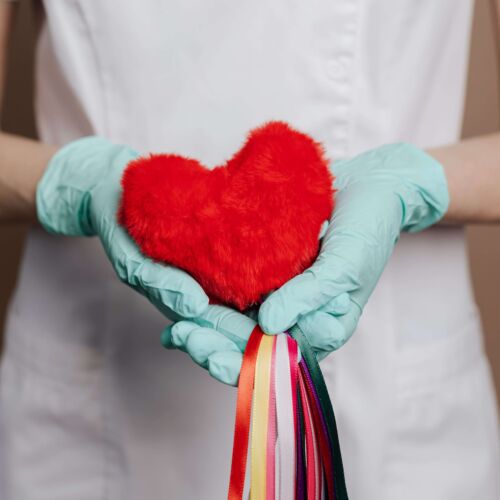 person holding stuffed toy kidney